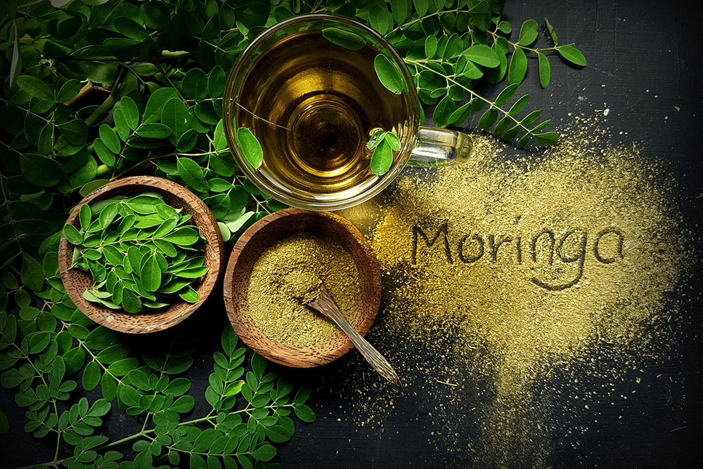 moringa